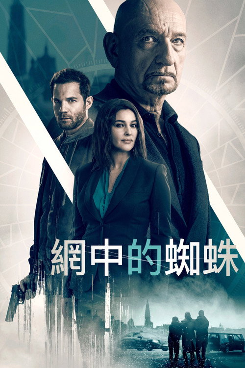 网中蜘蛛 海报