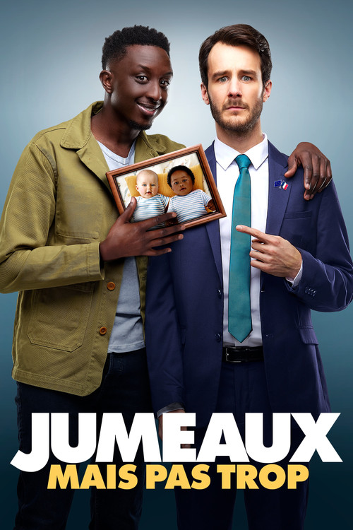 Jumeaux mais pas trop 海报