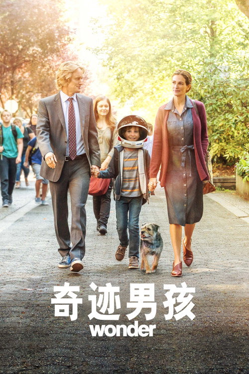 奇迹男孩 海报