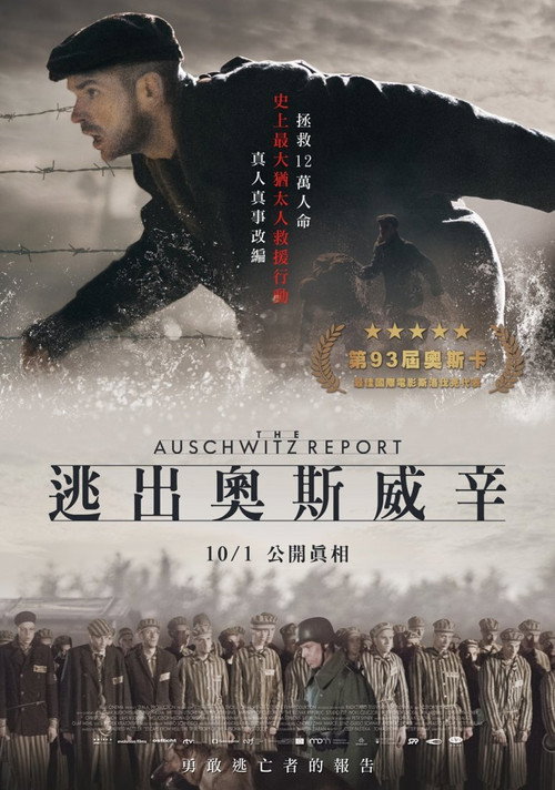奥斯维辛报告 海报