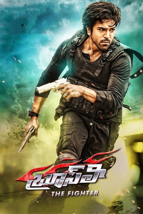 బ్రూస్ లీ: ది ఫైటర్ 海报
