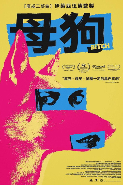 母狗 海报