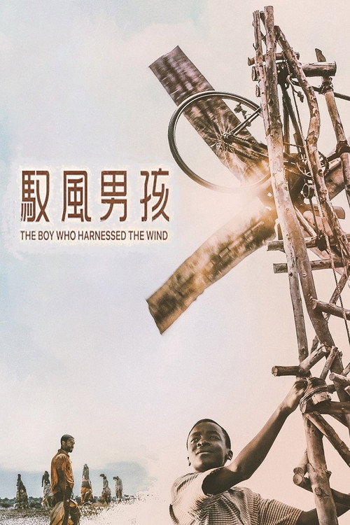 驭风男孩 海报