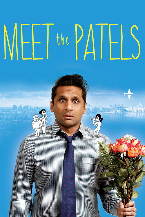 Meet the Patels 海报