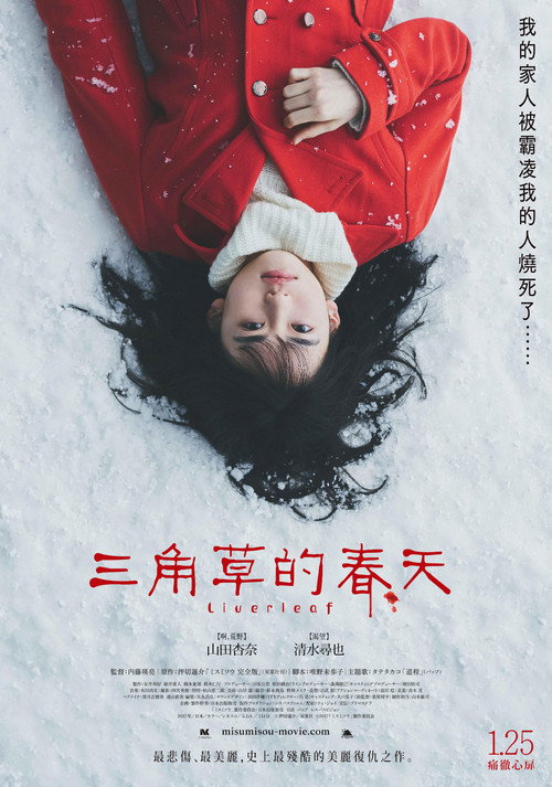 三角草的春天 海报