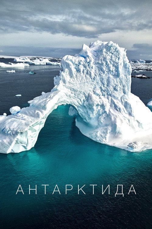 Антарктида 海报