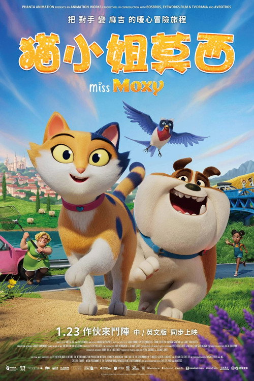 猫小姐莫西 海报
