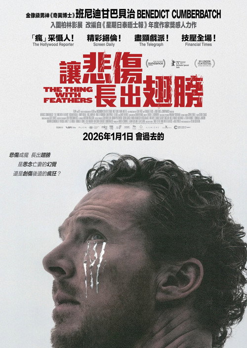 长翅膀的东西 海报