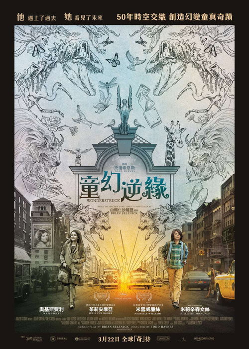 寂静中的惊奇 海报