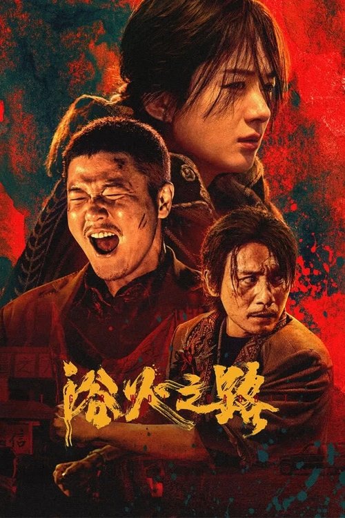 浴火之路 海报