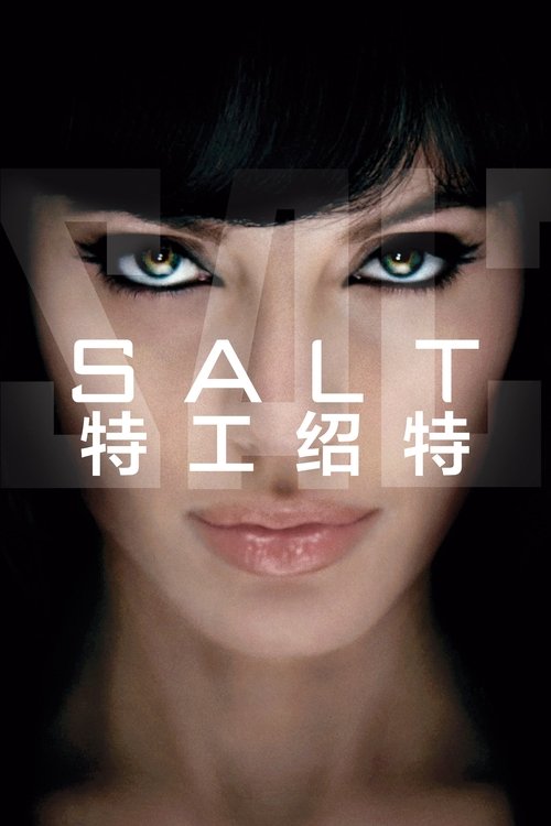 特工绍特 海报