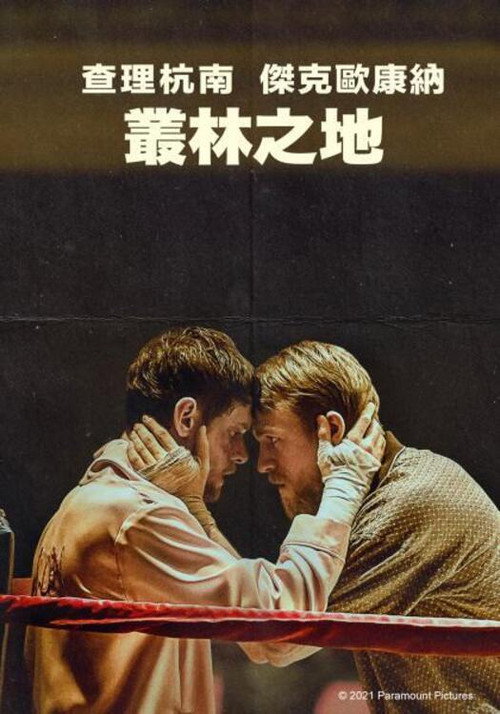 丛林之地 海报