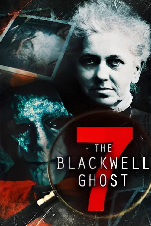 The Blackwell Ghost 7 海报