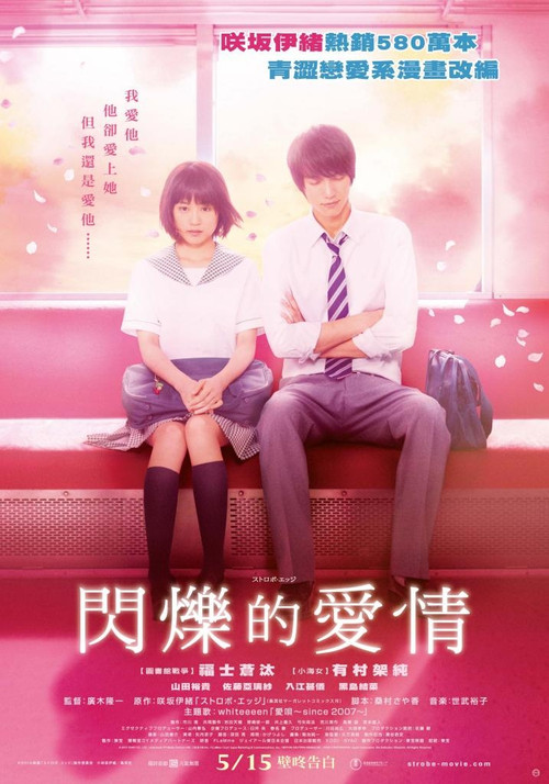 闪烁的爱情 海报