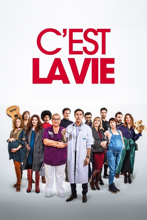 C'est la vie 海报