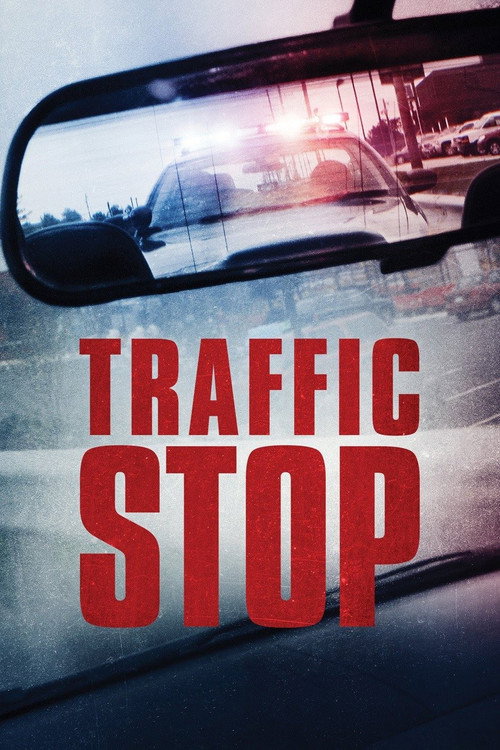 Traffic Stop 海报