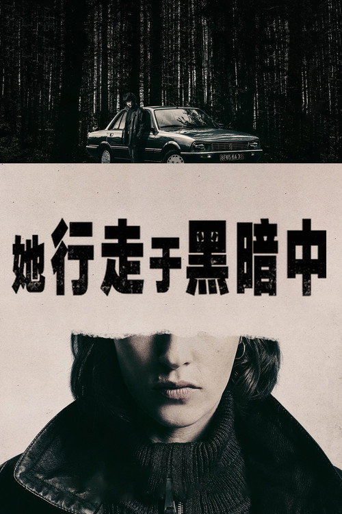 她行走于黑暗中 海报