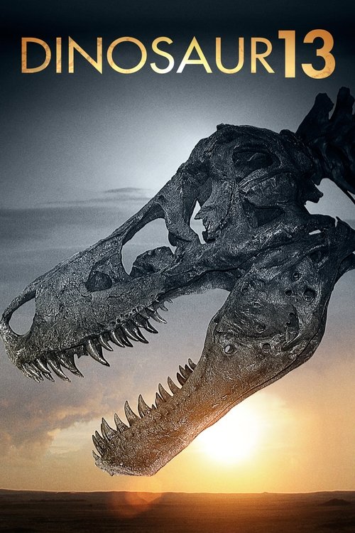 Dinosaur 13 海报