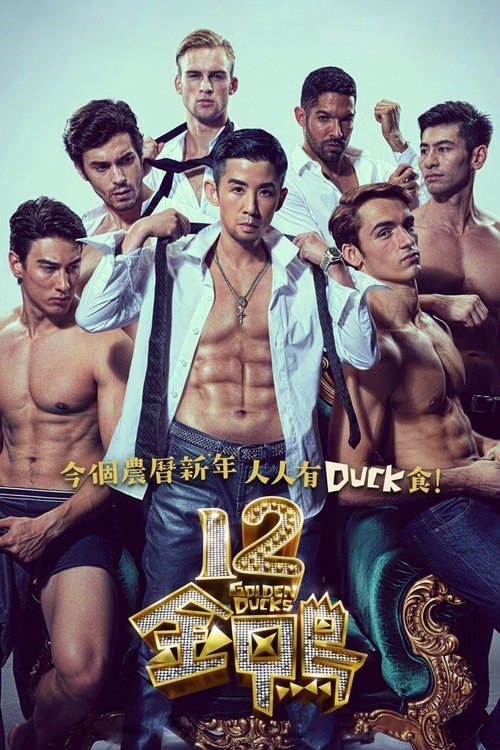 12金鸭 海报
