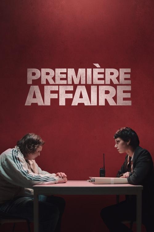 Première affaire 海报