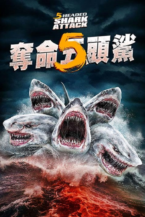 夺命五头鲨 海报