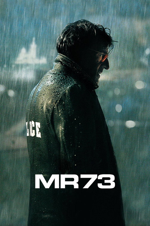 MR73左轮枪 海报