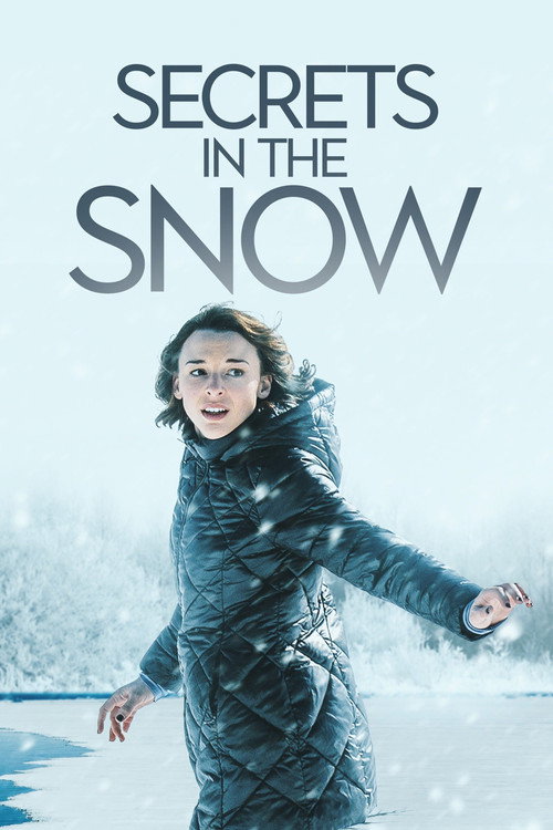 Secrets in the Snow 海报