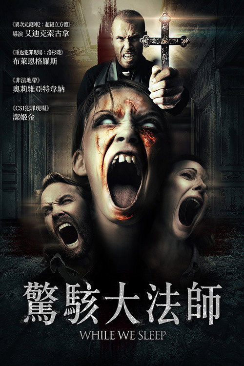 当我们熟睡时 海报