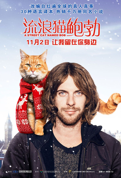 流浪猫鲍勃 海报