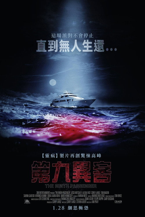 第九名乘客 海报