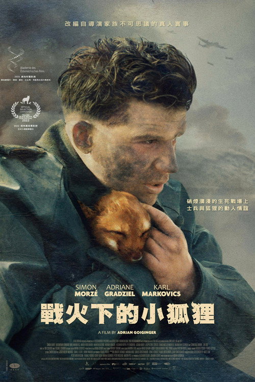 战火中的小狐狸 海报