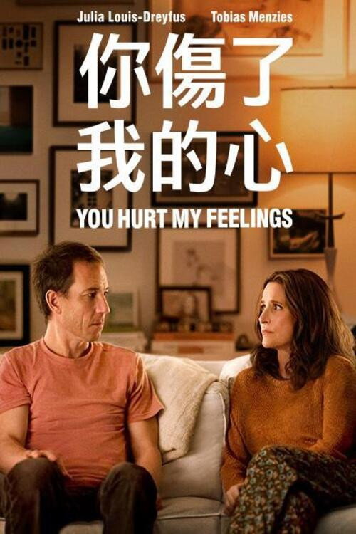 你伤害了我 海报
