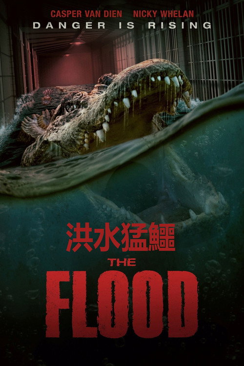致命洪灾 海报