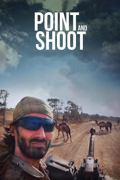 Point and Shoot 海报