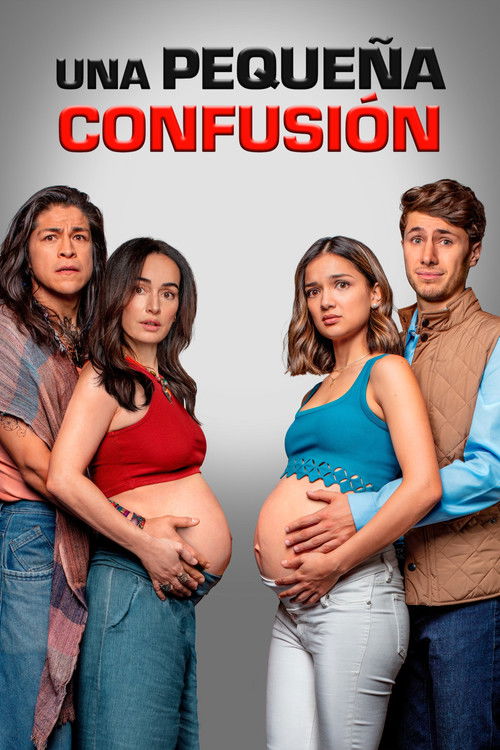 Una pequeña confusión 海报
