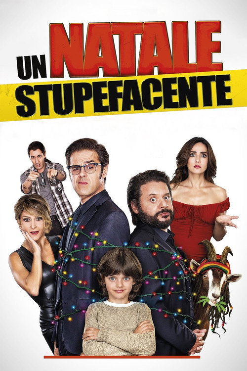 Un Natale stupefacente 海报