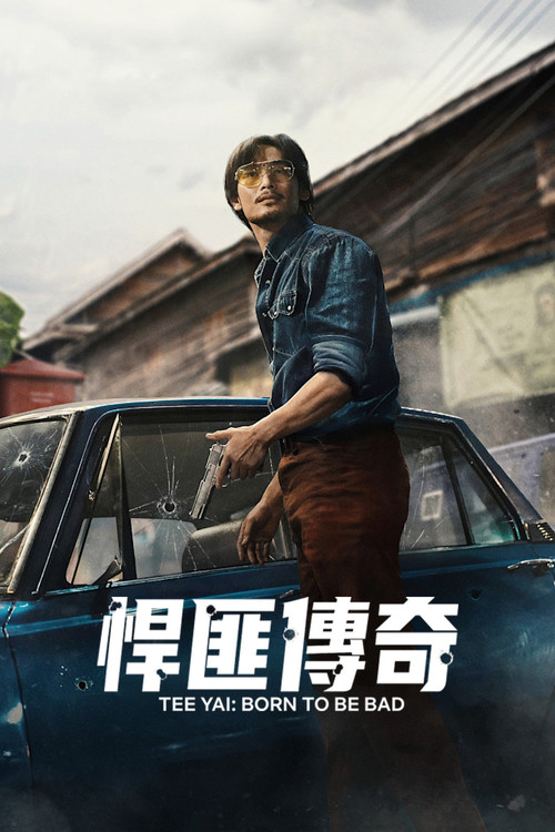 悍匪传奇 海报