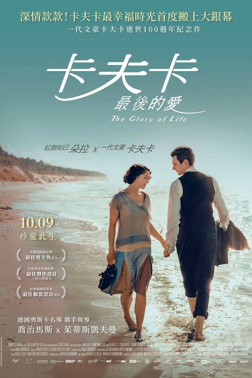 生命的荣耀 海报