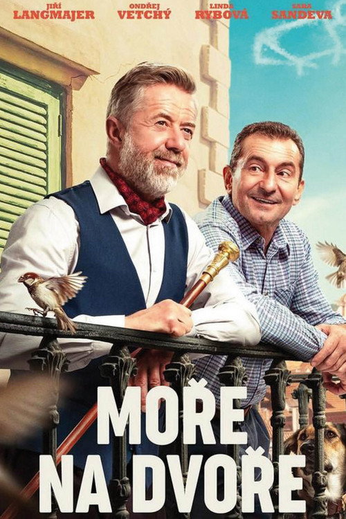 Moře na dvoře 海报