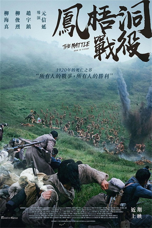 凤梧洞战斗 海报