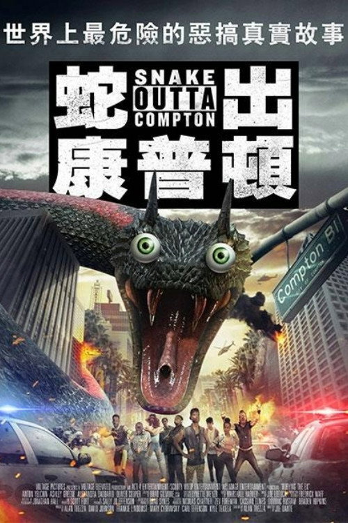 蛇行康普顿 海报