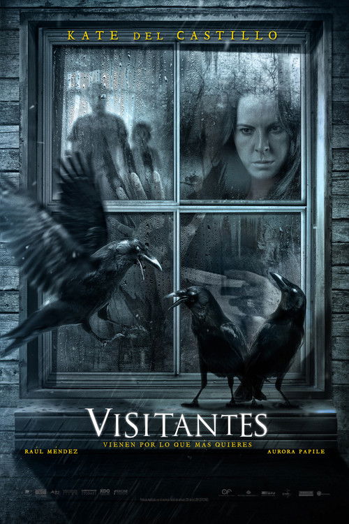 Visitantes 海报