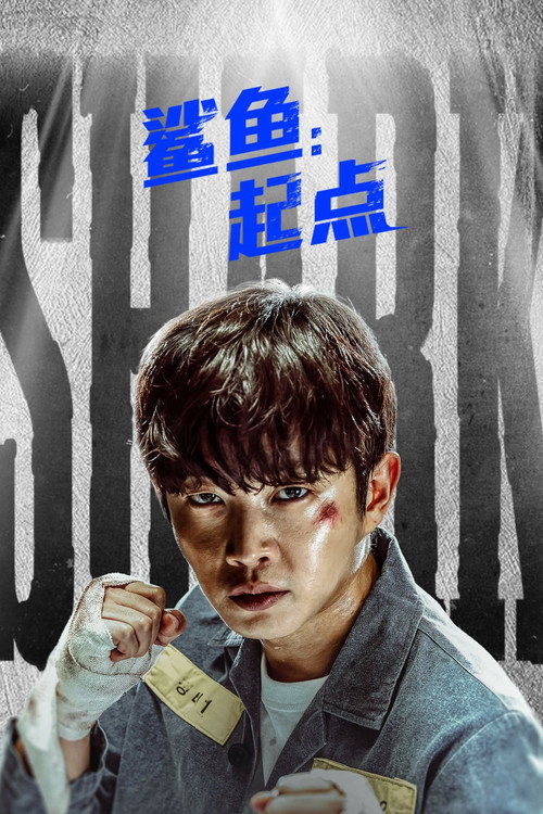 鲨鱼：起点 海报