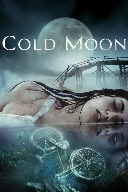 Cold Moon 海报