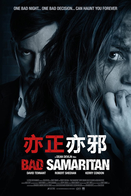 亦正亦邪 海报