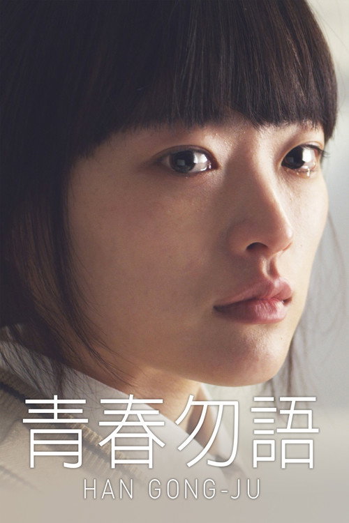 韩公主 海报