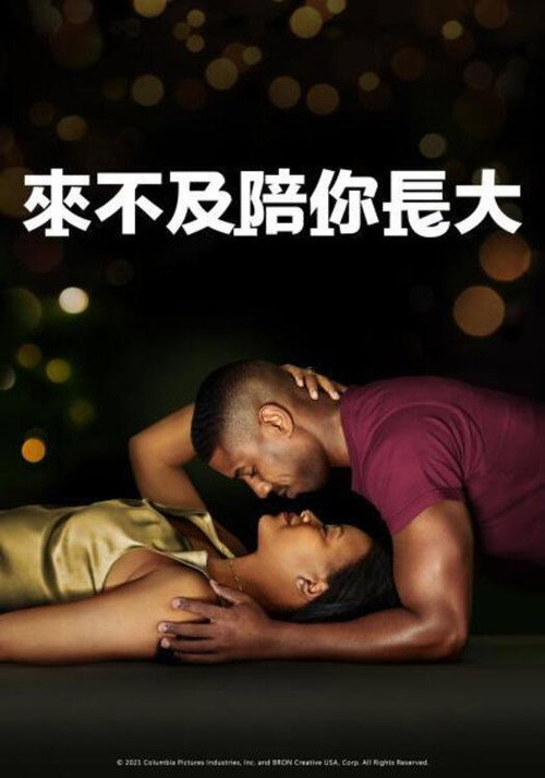 挚爱家书 海报