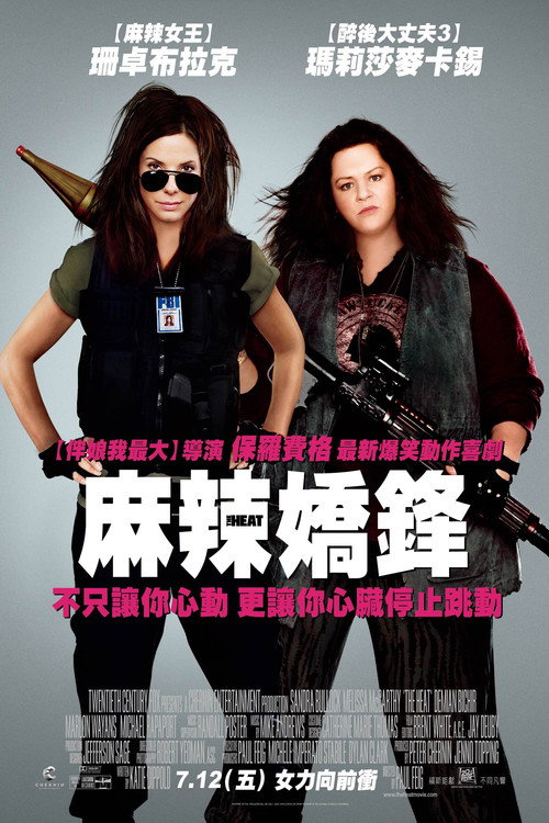 辣手警花 海报