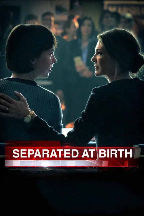 Separated at Birth 海报
