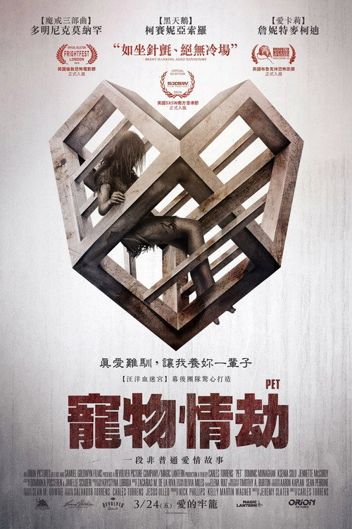 爱宠 海报
